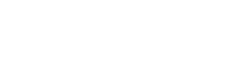 INTESLA